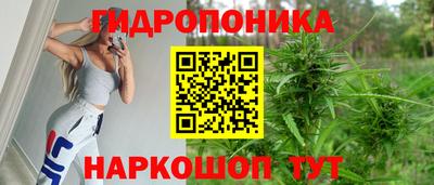 гашик Краснознаменск