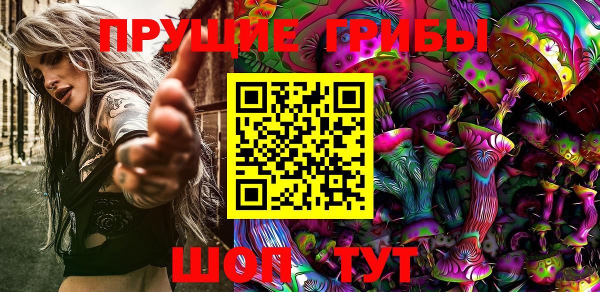 Псилоцибиновые грибы GOLDEN TEACHER  Вход с VPN  Псилоцибиновые грибы Magic Shrooms  Коммунар 